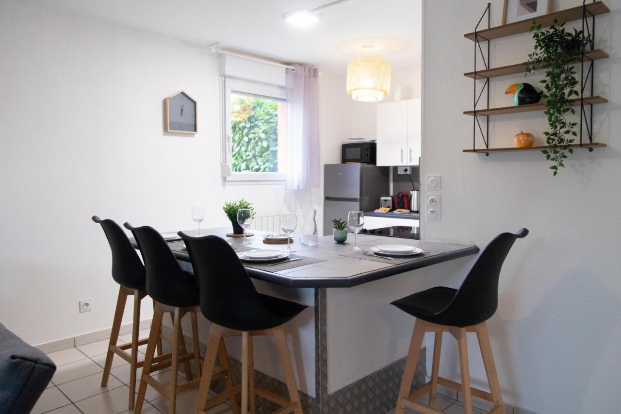 My Cozy Flat Blagnac - T2 - Free Parking - Terrasse - Jardin Apartment ภายนอก รูปภาพ